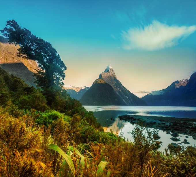 New Zealand photo